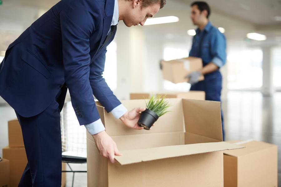 Packers And Movers Noida Sector 11